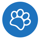 New South Wales and Surry Hills puppy training